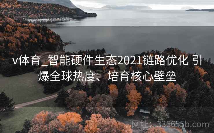 v体育_智能硬件生态2021链路优化 引爆全球热度、培育核心壁垒