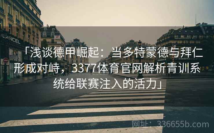 「浅谈德甲崛起:当多特蒙德与拜仁形成对峙,3377体育官网解析青训系统给联赛注入的活力」 「浅谈德甲崛起:当多特蒙德与拜仁形成对峙,3377体育官网解析青训系统给联赛注入的活力」