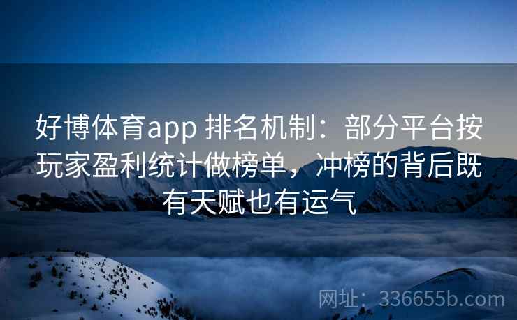 好博体育app 排名机制：部分平台按玩家盈利统计做榜单，冲榜的背后既有天赋也有运气