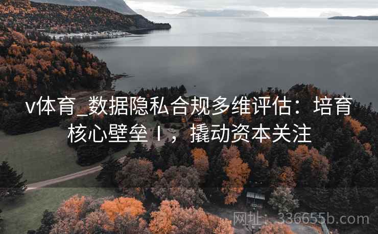 v体育_数据隐私合规多维评估：培育核心壁垒Ⅰ，撬动资本关注